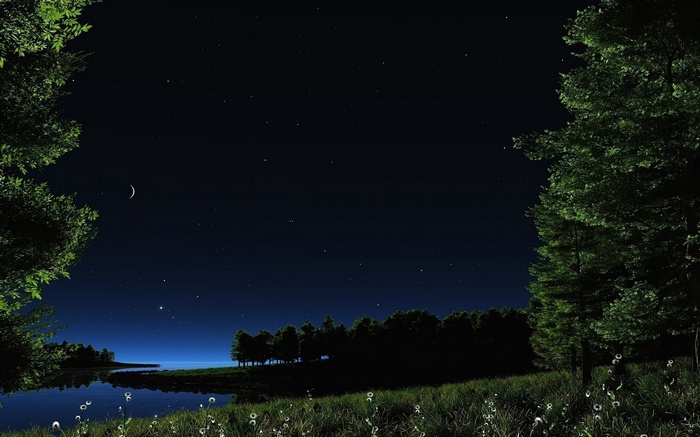 Night sky over a lake with trees and stars