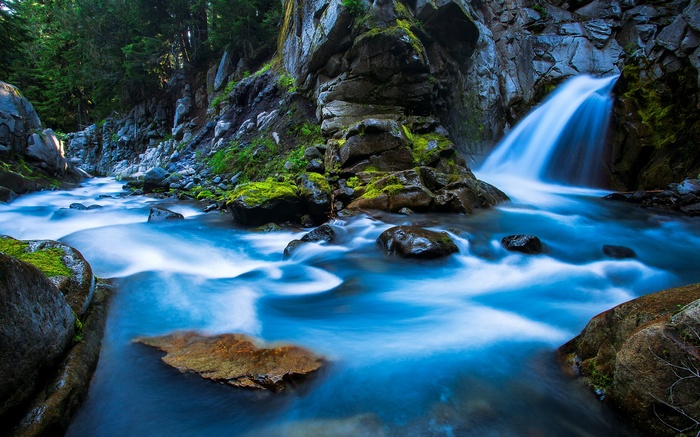 Waterfall flowing into a rocky stream in a forest