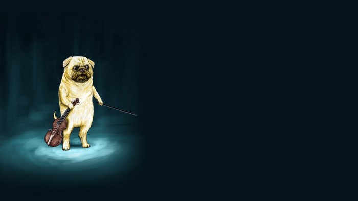 Pug playing violin