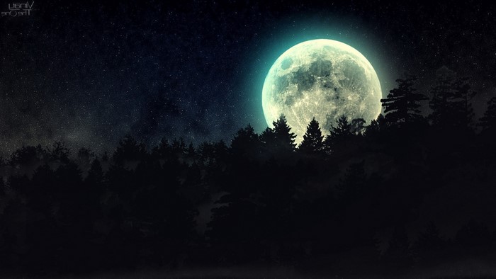 Full moon over a dark forest at night