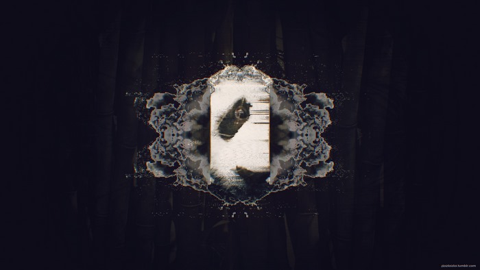 Abstract Glitch Art Panda