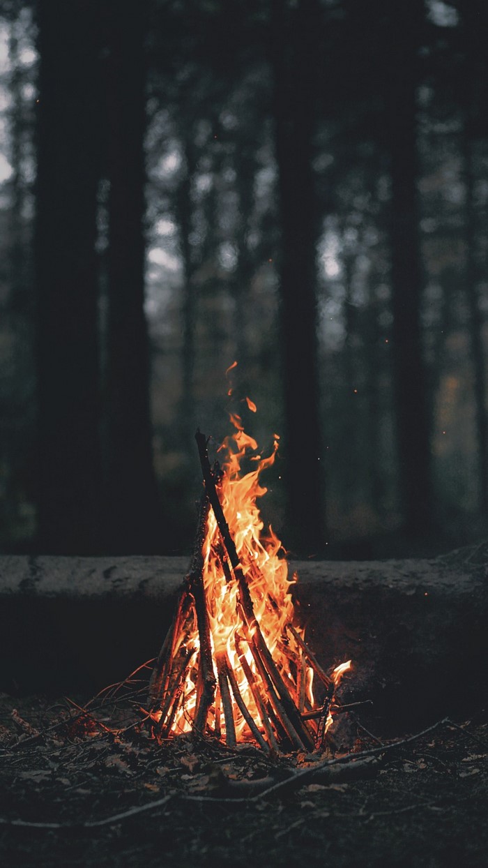 Campfire burning in a dark forest
