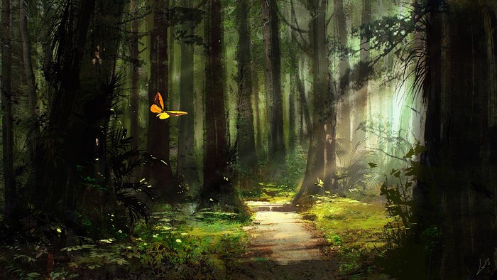 Fantasy art of a forest path with butterflies