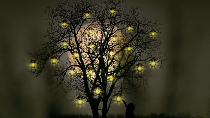 Silhouette of a child reaching for lanterns on a tree at night
