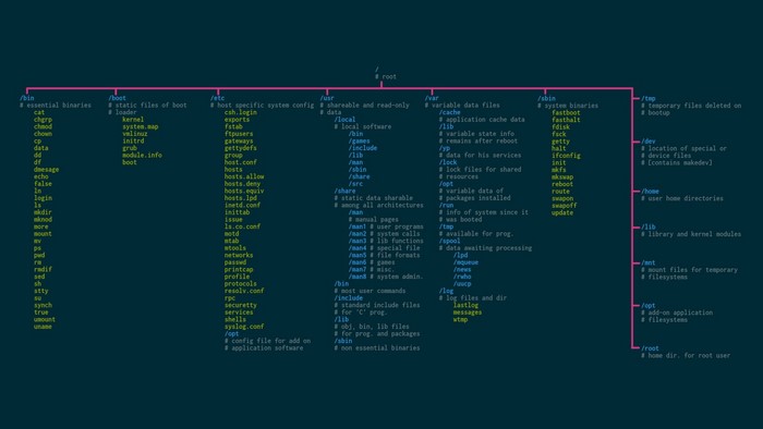 Linux file system directory structure