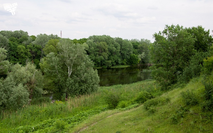 River and trees under a cloudy sky