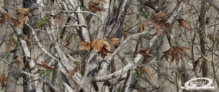 Woodland camouflage pattern with trees and leaves