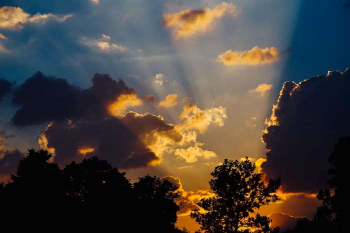 Sunset with Sun Rays and Silhouetted Trees 4K