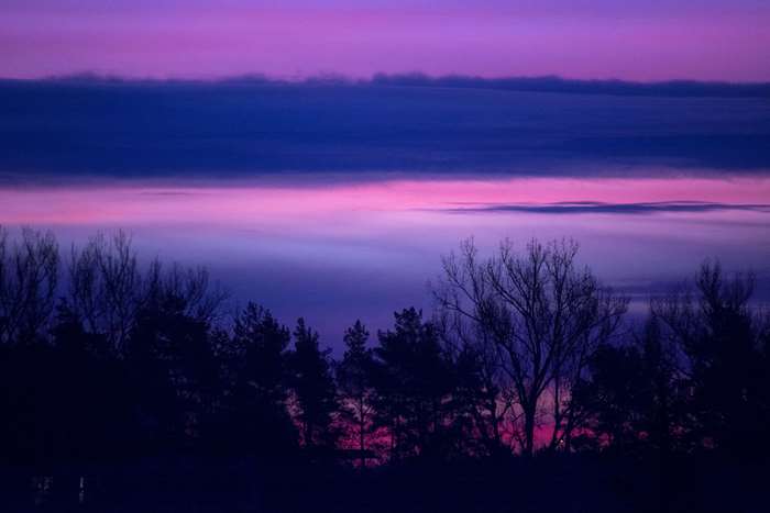 Purple sunrise or sunset over a dark forest