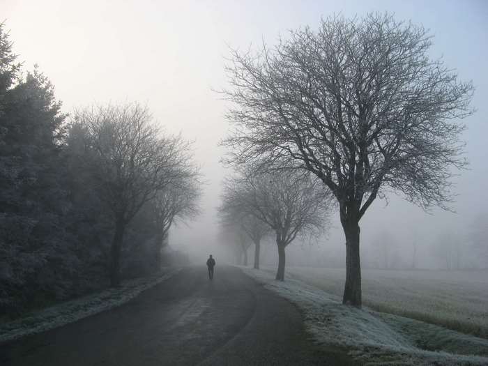 Person walking on a foggy winter road with frosted trees