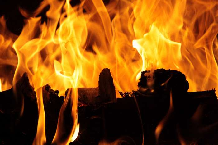 Fire flames burning wood 4K