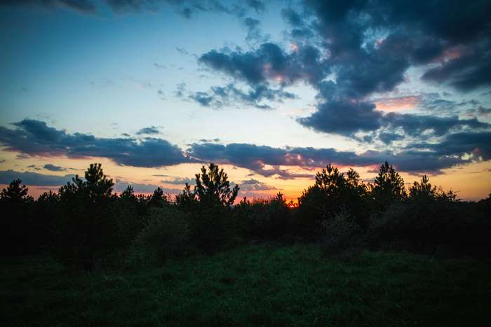 Sunset over a dark forest with colorful clouds
