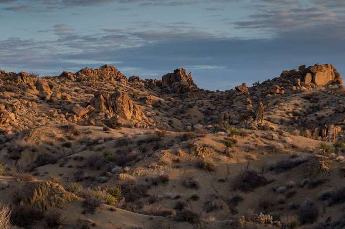 Rocky desert landscape with Joshua trees and clouds