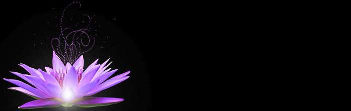 Purple water lily with glowing center and magical swirls