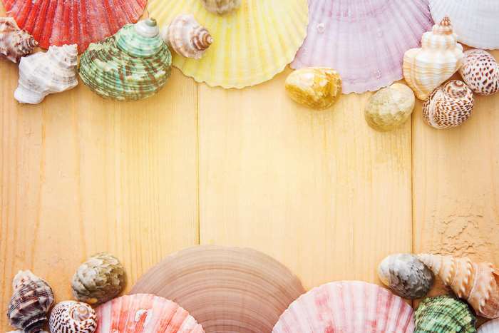 Colorful seashells and stones on a wooden background
