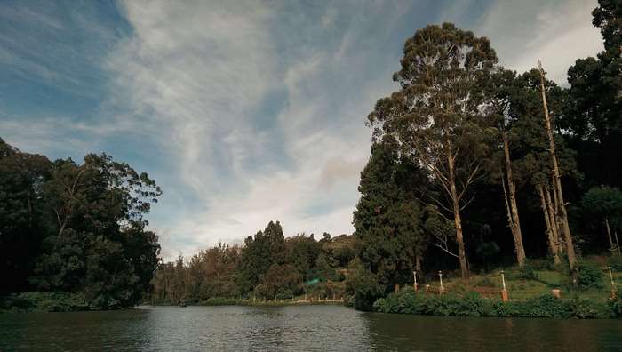 Lake surrounded by trees under a cloudy sky