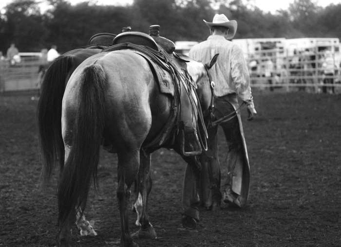 Cowboy walking with saddled horses at a rodeo