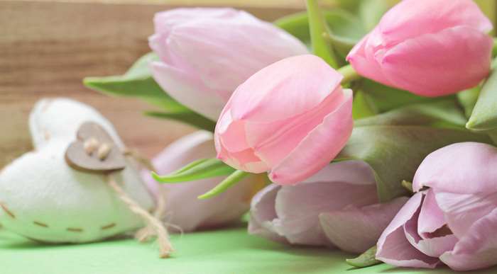 Pink and purple tulips with a heart decoration