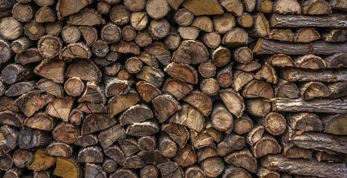 Pile of firewood logs