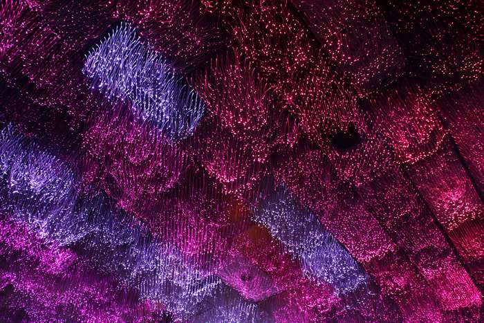Ceiling covered in purple and red fiber optic lights
