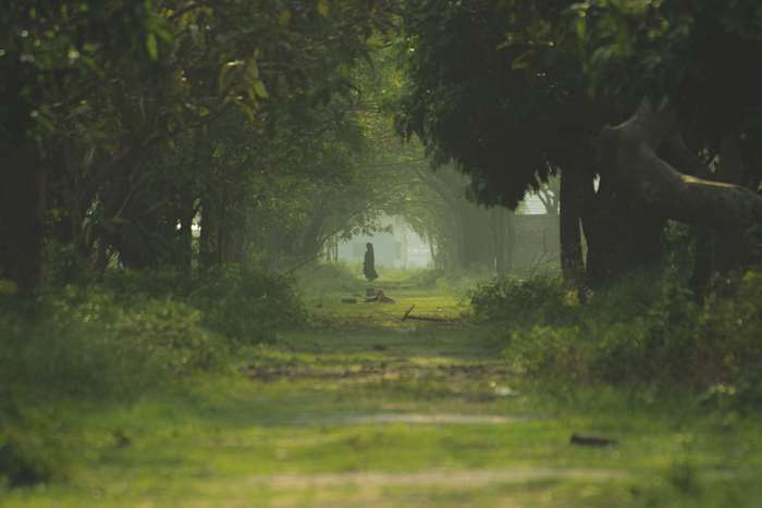 A lone figure walks down a tree-lined path in a village