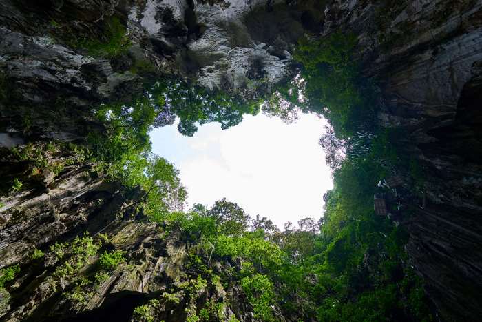 View from inside a cave looking up at the sky and trees