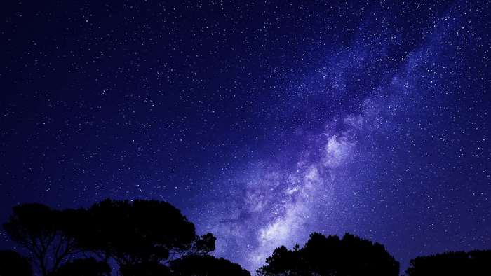 Milky Way galaxy over silhouetted trees at night