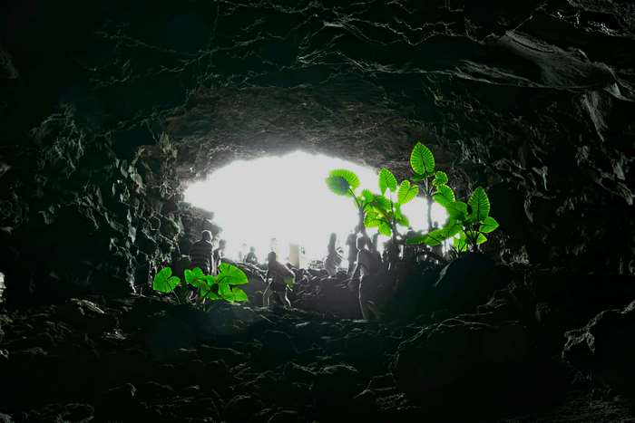 People exploring a dark cave with plants and light