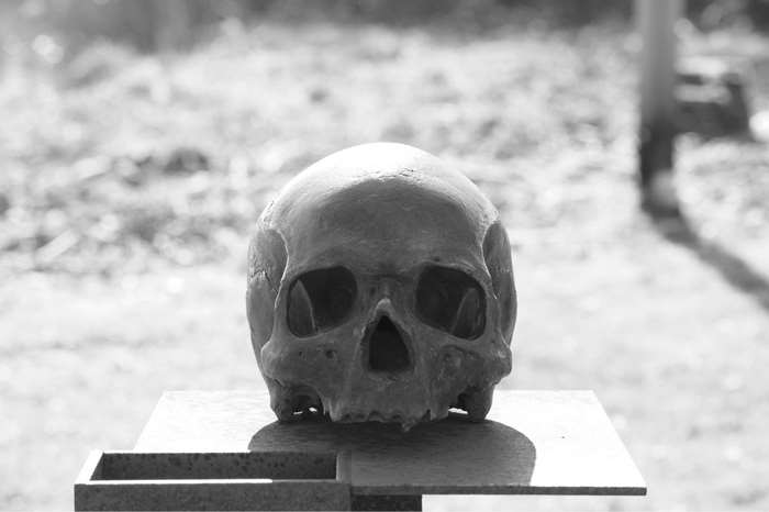 Skull on a pedestal in black and white 4K