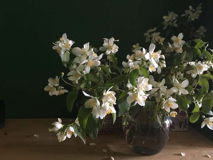 White flowers in a vase on a wooden surface