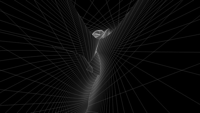 Abstract Wireframe Mesh Tunnel