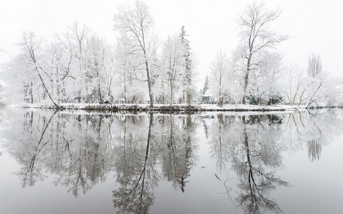 Snow-covered trees reflected in calm water