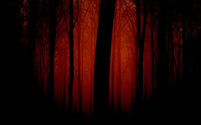 Misty Red Evening Forest Silhouettes