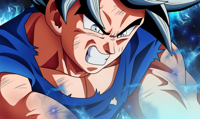 Goku from Dragon Ball Super