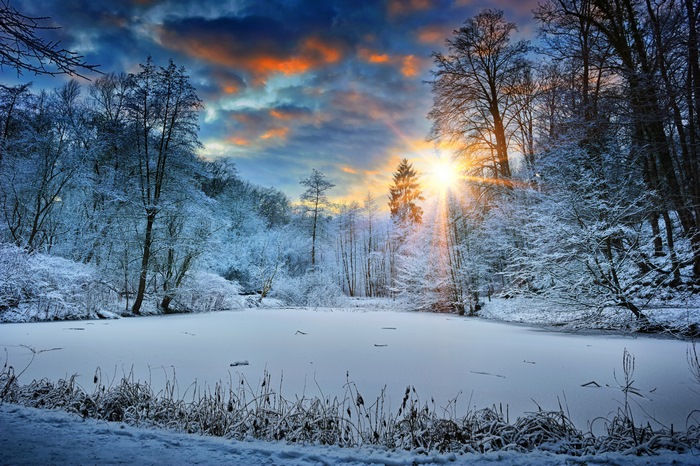 Winter Sunrise Over Snowy Forest Lake 4K