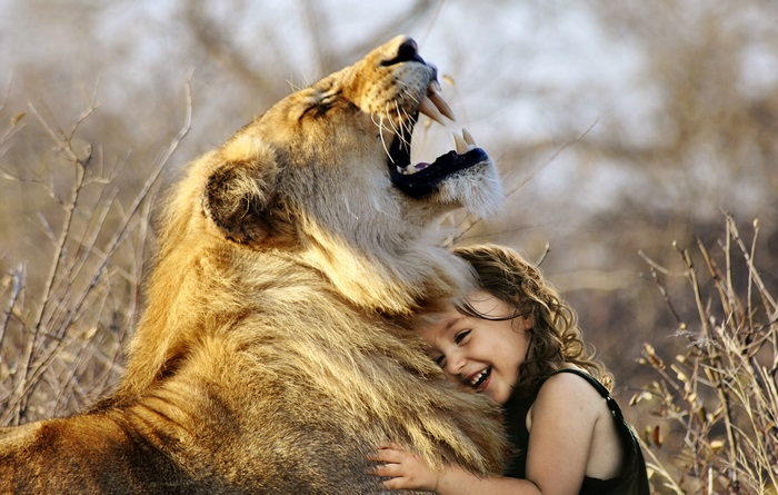 Lion roaring at a young girl