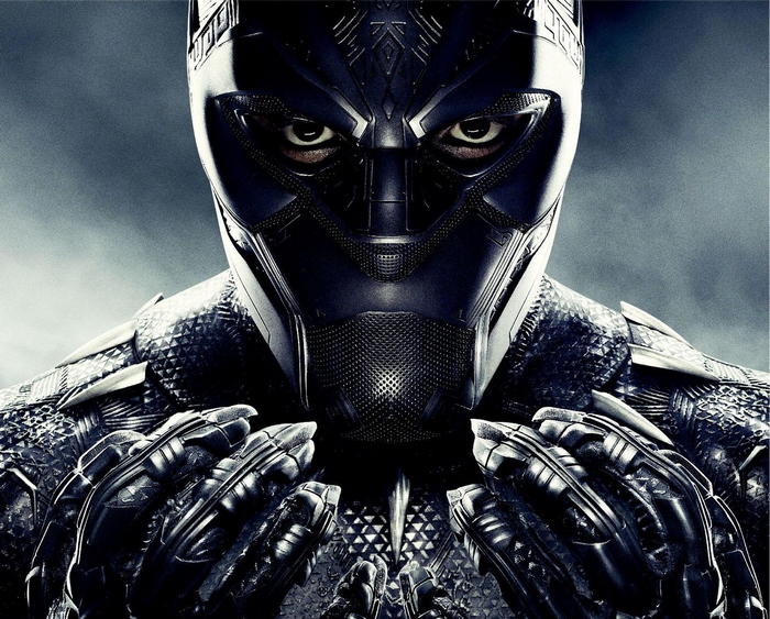 Black Panther from Marvel Movies
