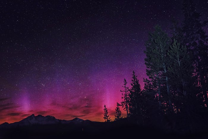 Aurora Borealis over mountains and trees