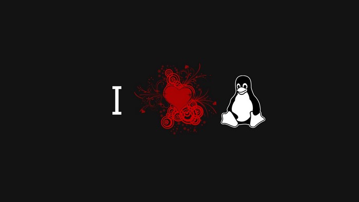 I love Linux Tux penguin