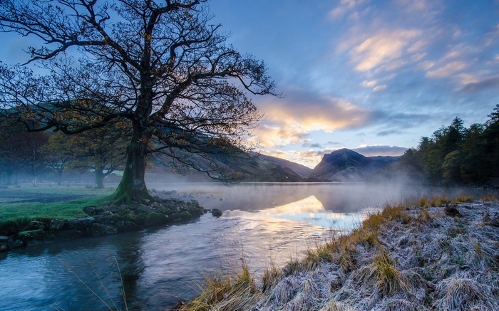 Misty lake at sunrise with a large tree