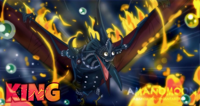 King from One Piece