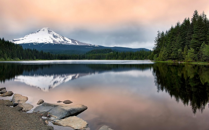 Snow-capped mountain reflected in a lake with pine trees