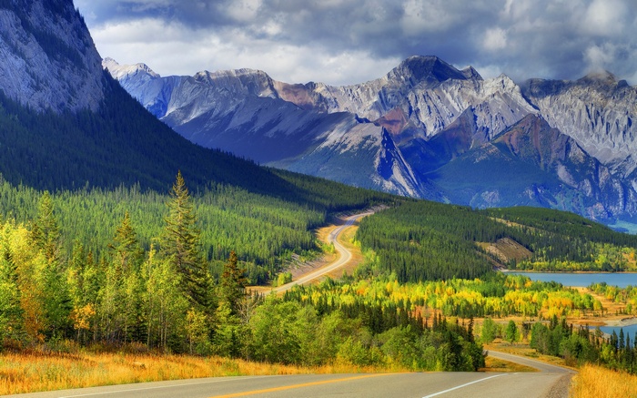 Winding road through autumn forest to mountains