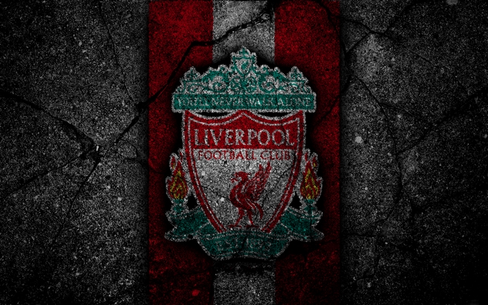 Liverpool F.C. Logo on Textured Background
