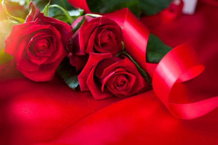 Red Roses with Red Ribbon