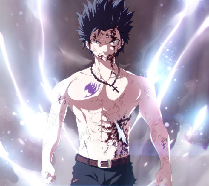 Gray Fullbuster from Fairy Tail