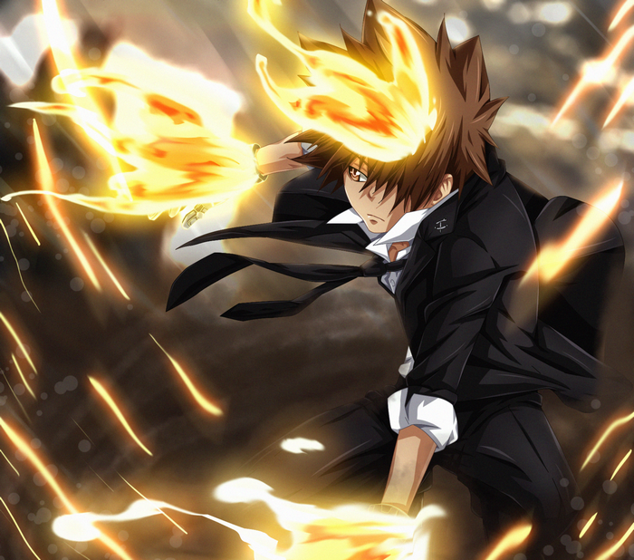 Tsunayoshi Sawada from Reborn!