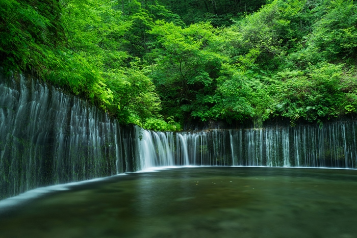 Serene Green Waterfall and Lush Forest