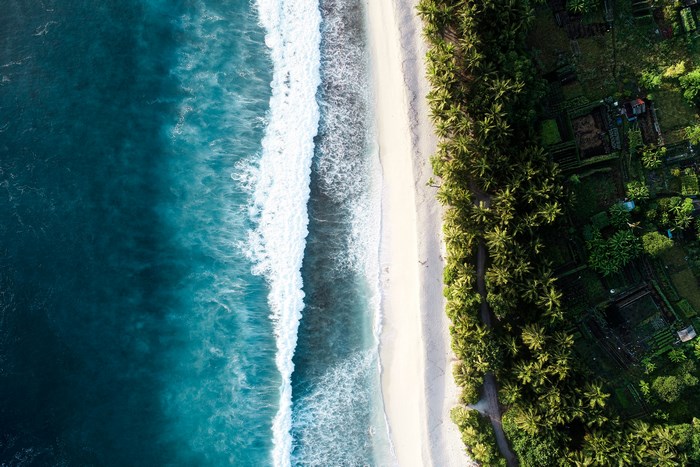 Aerial view of a tropical beach with palm trees and ocean waves
