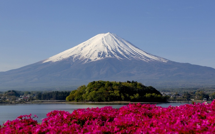Mount Fuji with pink flowers and lake